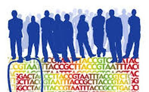 Bất ngờ: Gen không tạo ra sự khác biệt lớn nhất của con người - không có 'gen thiên tài'