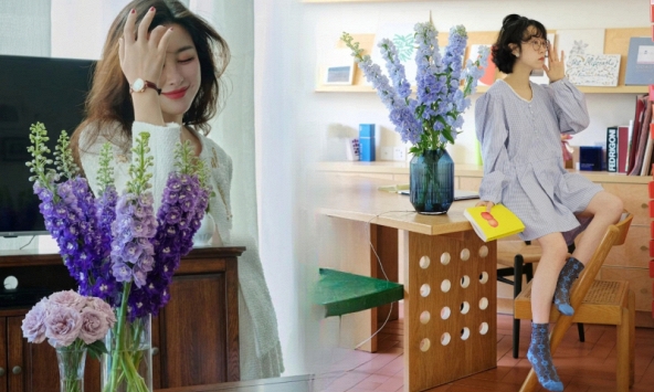 Muốn nhà sang như Tây dịp Tết, thử ngay phi yến xanh: Người mới chơi chớ dại mua loại này kẻo 'tiền mất tật mang'