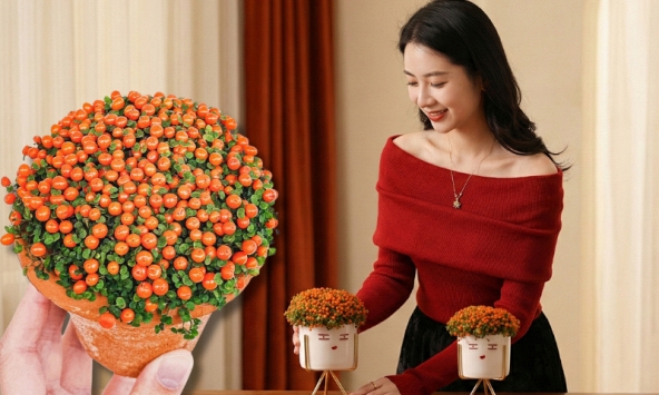 'Bảo bối' phong thủy mới cho Tết Bính Ngọ 2026: Tên nghe sang chảnh, bé xíu xiu mà hút lộc cả năm