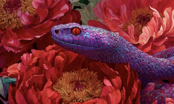 Tử vi ngày mới 5/1: 2 con giáp tài lộc rộn ràng, riêng tuổi Dần tình duyên rực rỡ