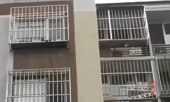 Cô ruột qua đời nhưng di chúc bị cha giấu đi, con gái mất trắng căn nhà trị giá hơn 10 tỷ đồng