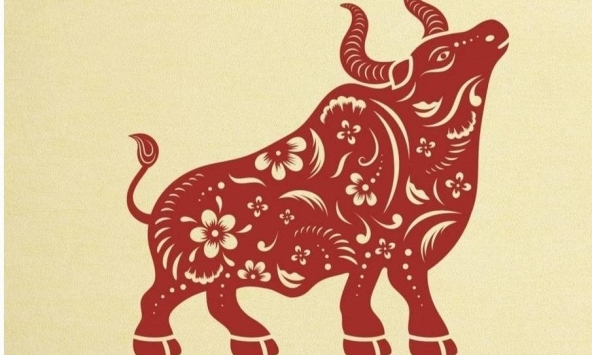 Khả năng cao trong 15 ngày nữa, 3 con giáp này sẽ gặp may mắn, nhất là về học tập và tiền bạc