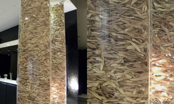 Bức ảnh khiến nhiều người sởn gai ốc tại 1 phòng khám phẫu thuật thẩm mỹ khu Gangnam Hàn Quốc