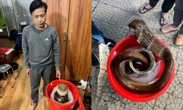 Rùng mình phát hiện bình thủy tinh chứa rắn hổ mang chúa trên ô tô: Khởi tố Phạm Duy Thuyết