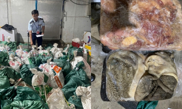 Rúng động thị trường thực phẩm cận Tết: Hơn 18 tấn thịt bò, lòng bò đông lạnh đựng trong bao tải suýt “lên mâm”