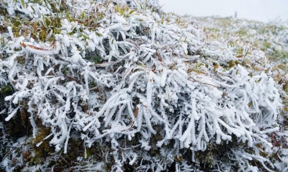 Tin gió mùa đông bắc mới nhất: Bao giờ miền Bắc chuyển mưa rét đến 6 độ C?