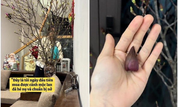 “Môn thể thao mạo hiểm” nhất Tết Ngựa gọi tên Hoa Mộc Lan! 