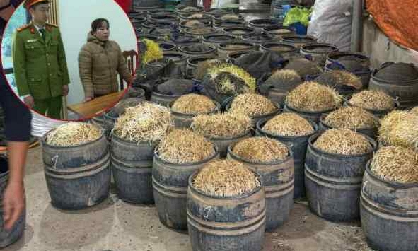 Khởi tố Phạm Thị Thắm và Phạm Thị Tình - chủ cơ sở sản xuất 3 tấn giá đỗ chứa chất cấm