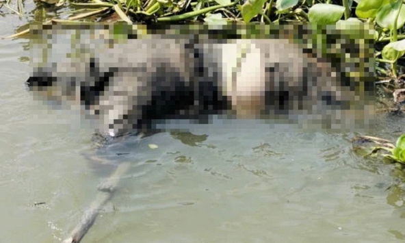 Nam thanh niên ở TP.HCM mất liên lạc sau cuộc gọi với bố: Cảnh tượng bên bờ sông khiến người dân bàng hoàng