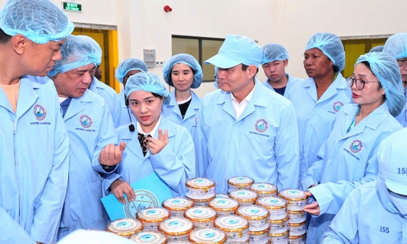 Tổ chức Sở hữu trí tuệ thế giới, khu vực châu Á- Thái Bình Dương và Cơ quan Sáng chế Nhật Bản chú trọng thương hiệu Yến sào Khánh Hòa