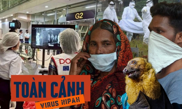 Toàn cảnh virus Nipah: Mối đe dọa âm ỉ khiến thế giới luôn trong trạng thái báo động