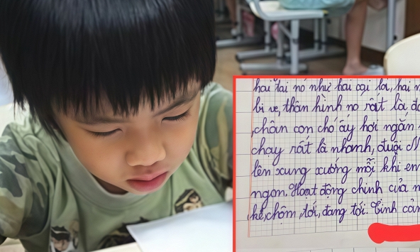 Học sinh tiểu học viết văn: Tình cảm của em không bao giờ tan vỡ - Xem đối tượng được nhắc đến mà cười xỉu