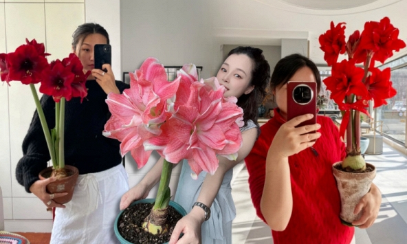 Tết này đừng chỉ chơi đào quất: Thử ngay loài hoa 'hệ lười' không cần tưới vẫn nở rực rỡ, tên gọi nghe thôi đã thấy tiền tài tới tấp!