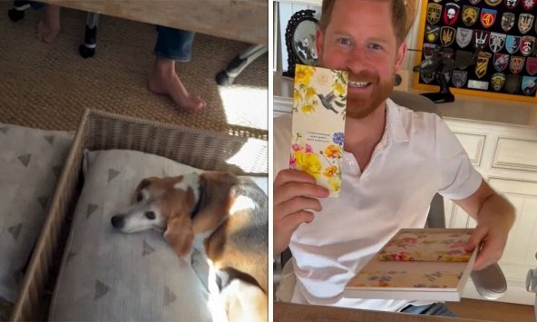 Bán sạch sô-cô-la nhờ chồng: Meghan hả hê nhưng hình ảnh Harry đi chân đất khiến fan hoàng gia xót xa 'mất hết khí chất'