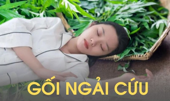 Tôi dùng ngải cứu làm bông nhồi gối trong 6 tháng, sau đó đi khám sức khỏe và bác sĩ đã rất 'ghen tị' vì lý do này