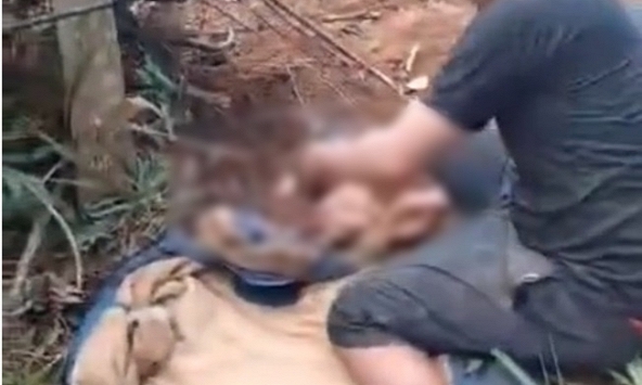 Bé sơ sinh bị bỏ trong rẫy, kiến bu khắp người: Mẹ 17 tuổi, tự sinh rồi bỏ, cả nhà không ai biết