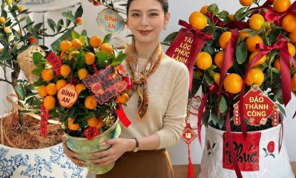 Chưa rinh chậu quất này coi như Tết vơi đi một nửa: Nhỏ thôi nhưng 'gánh' trọn không khí xuân trong nhà