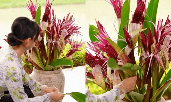 'Phú bà Long Biên' mách nước chưng Tết: Chỉ một bình hoa náng đỏ, nhà cửa thơm nức, rước lộc đầy tay