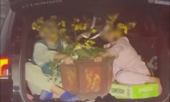 Thót tim clip 2 trẻ nhỏ ôm chậu mai ngồi trong cốp xe đang chạy ngoài đường, xem mà lạnh sống lưng