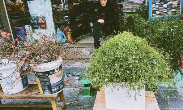 Không phải mai đào rực rỡ, đây mới là mùi hương 'gây thương nhớ' nhất tháng Chạp, xoa dịu mọi giông bão năm cũ