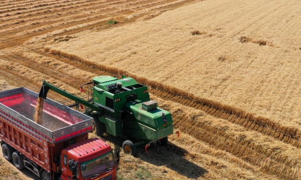 'Mỏ vàng' giữa lòng sa mạc: Quốc gia cạnh Việt Nam biến 'biển tử thần' thành kho báu cho hơn 1,4 tỷ người