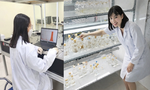 Phụ nữ làm khoa học: Bền bỉ, sáng tạo và gắn với đời sống