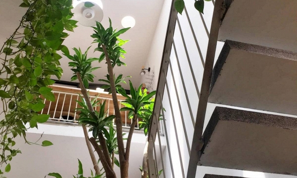 Ông bà dặn: Nhà có 4 dấu hiệu này đừng bao giờ bán, càng ở càng giàu, con cháu tha hồ hưởng lợi