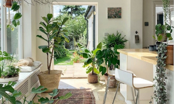 Ông bà nói: 'Vận đến không ồn ào, nhưng sẽ có điềm báo' - 6 dấu hiệu cho biết nhà bạn có lộc trời ban