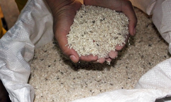 5 kiểu bảo quản gạo của người Việt làm tăng tốc độ hư hỏng, cơm không ngon mà còn dễ khiến cả nhà mắc bệnh
