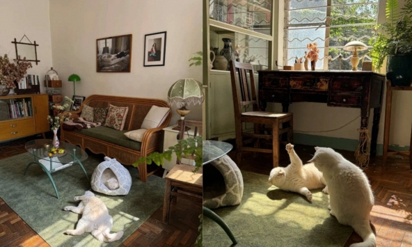 Cụ bà 73 tuổi không phiền con cháu, già đi lặng lẽ trong căn nhà cũ ở quê: Cuộc sống dịu dàng, chữa lành đến lạ