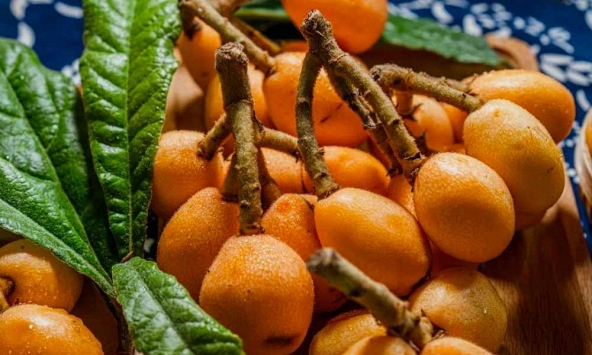 3 loại “trái cây vàng” giúp tiêu đờm, làm sạch phổi: Nhiều người ăn mỗi ngày mà không biết công dụng