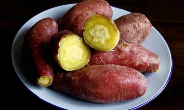 Ít ai ngờ khoai lang hấp lại tốt đến vậy: 5 lợi ích khiến món ăn này trở thành “chân ái” của nhiều người