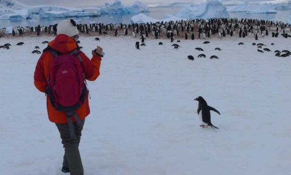 Dành dụm cả năm, chi 380 triệu đồng để du lịch Nam Cực, nữ du khách rơi vào 'cơn ác mộng'