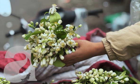 Tháng 3 về rắc nồng nàn góc phố, chị em vội vã níu thanh xuân trên những gánh hoa bưởi tinh khôi
