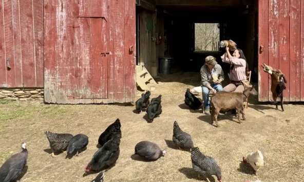 Cặp vợ chồng chi hơn 10,2 tỷ đồng mua mảnh đất 151.757m² để nghỉ hưu: “Chúng tôi chấp nhận vay thế chấp trong 30 năm”