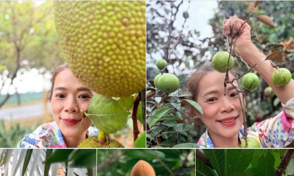 Nữ đại gia Vbiz là phó chủ tịch tập đoàn dược, sở hữu vài biệt thự nghìn m2: Tuổi U55 thích làm 'nông dân', khoe gia tài lớn 'đếm mỏi tay' ai cũng trầm trồ