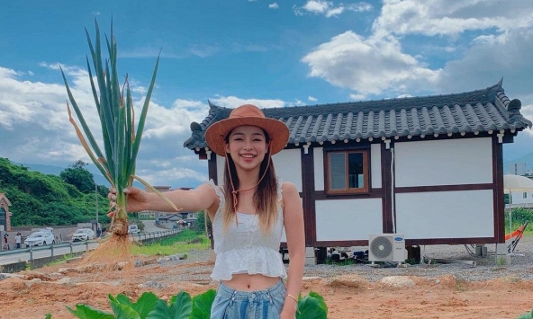 Thứ rau chợ Việt bán vài nghìn cả nắm, nấu món gì cũng thơm nhưng là 'khắc tinh' của nhiều loại ung thư, 'quét đường' trong máu