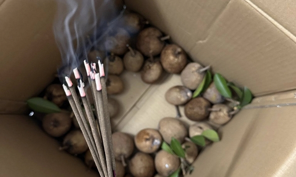 Cô gái cắm hương vào thùng hoa quả, nhiều người thắc mắc vì sao