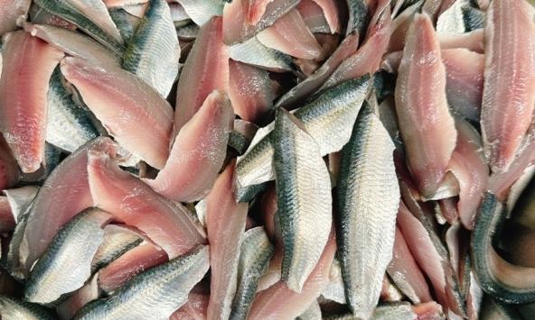 10 loại cá bình dân nhưng bổ ngang cá hồi, ra chợ là mua được
