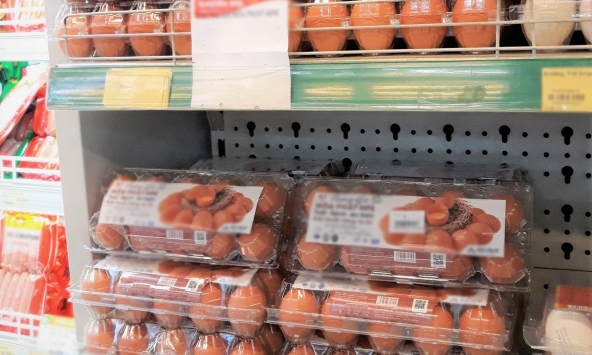 Giải mã trứng đóng khay trong siêu thị: Nhân viên nói thẳng 'khay nào nên tránh'