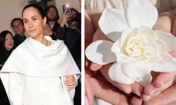 Meghan Markle vừa hé lộ dự án mới toanh rực mùi hoa cỏ: Hội chị em lại có thêm bí kíp 'chữa lành' xịn sò đón xuân!