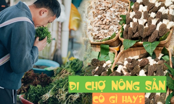 Bỏ qua những tour đắt đỏ, khách Việt đi Vân Nam giờ chuộng mốt 'bám đuôi' đầu bếp ra chợ nông sản mua hoa về... xào thịt