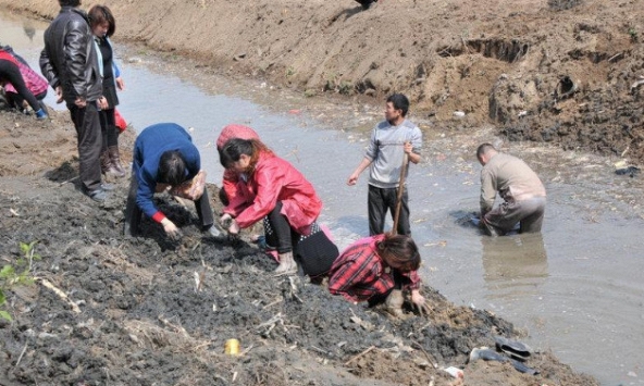 Công trường dừng thi công khẩn cấp vì máy xúc đào trúng vật cứng chứa hiện vật nặng hơn 100kg, con mương rộng 6m bị phong tỏa