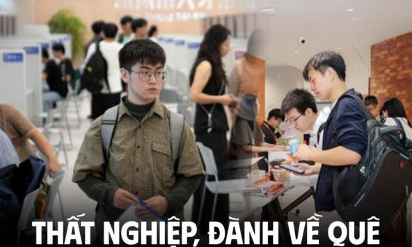 Gửi 100 CV chỉ để nhận ra “cơ hội không dành cho mình”: Ở lại thành phố nghĩa là tiếp tục tiêu tiền, đành về quê