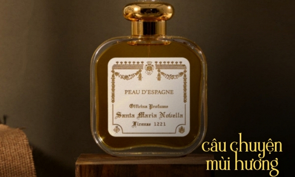 Đừng than sao mãi nghèo nếu chưa thử xịt thứ hương 'gọi tiền' này: Top 12 nước hoa hương gỗ giúp chị em vượng khí, đổi vận ngoạn mục