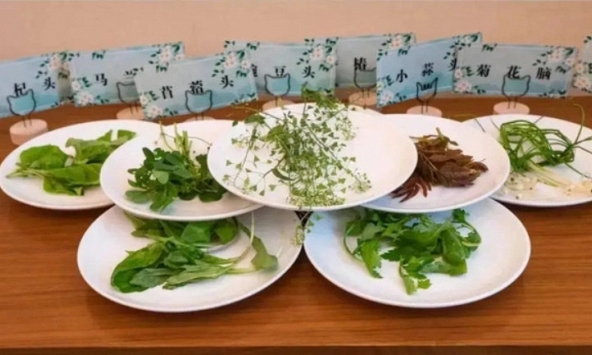 Tại sao chúng ta nên ăn thêm các loại rau củ sẫm màu, đáng tiếc nhiều người Việt vẫn ăn thiếu mỗi ngày