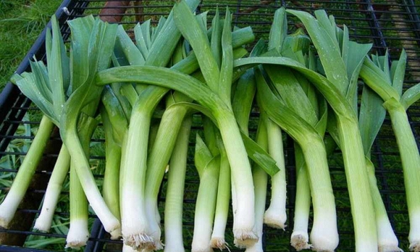 Hội mê ăn rau chú ý: 5 món quen thuộc có thể khiến tình trạng trào ngược dạ dày nặng hơn