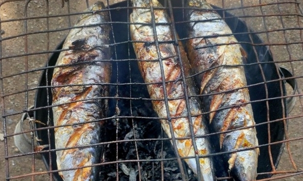 Loại cá giàu đạm, DHA gấp 3 lần cá hồi nhưng giá rẻ không bằng một nửa: Chợ Việt bán đầy