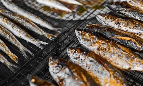 Mỹ đánh giá: Đột quỵ “rất sợ” loại cá này, vô địch về omega-3, ra chợ là mua được