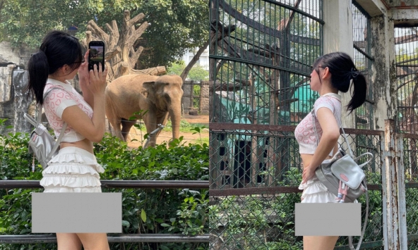 Phản cảm hình ảnh cô gái mặc váy ngắn đến lộ cả vòng 3 để đi Thảo Cầm Viên 